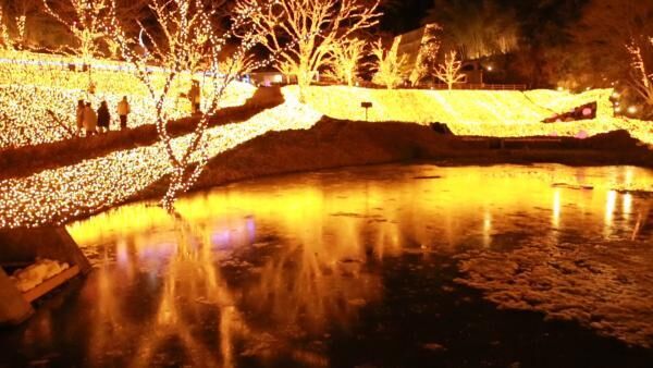 イルミネーションは冬だけじゃない！ 「ネスタリゾート神戸」で光に包まれる♡
