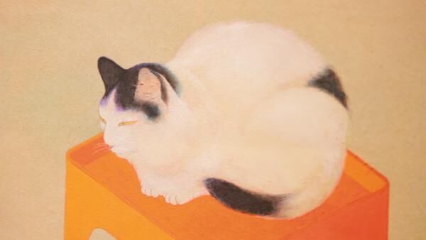 猫好き大集合！ 「福ねこat 百段階段」展で愛くるしい猫と和モダンなひとときを♡