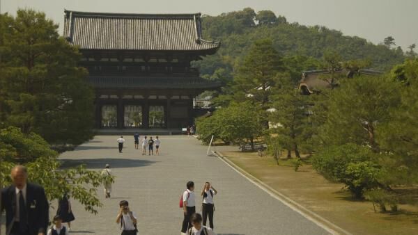 荘厳な重要文化財に圧倒…！ 京都観光で外せない「仁和寺」の魅力