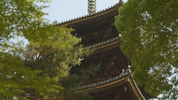 荘厳な重要文化財に圧倒…！ 京都観光で外せない「仁和寺」の魅力
