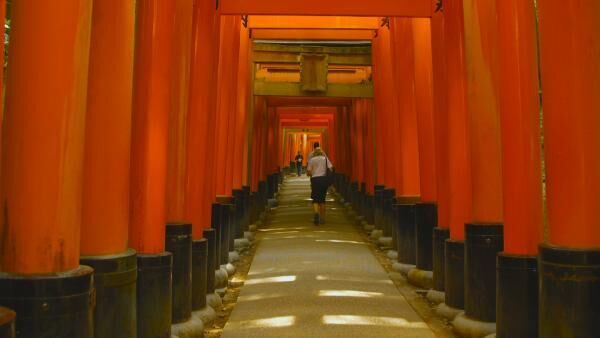 まるで異世界へトリップ！ 京都随一の人気神社の魅力とは？