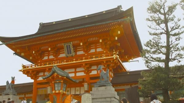 まるで異世界へトリップ！ 京都随一の人気神社の魅力とは？
