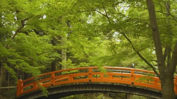 京都が誇る受験の神様！天神さまの総本社「北野天満宮」の見どころとは？