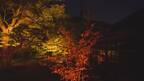 秋の夜長の粋なイベント「博多ライトアップウォーク2017」