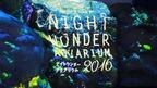 ナイトワンダーアクアリウム2016～月光に漂う水族館～ 新江ノ島水族館のクリスマス♡