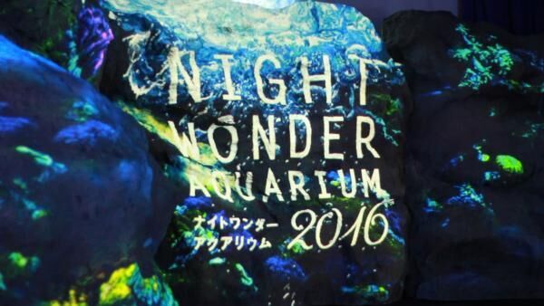 ナイトワンダーアクアリウム2016～月光に漂う水族館～ 新江ノ島水族館のクリスマス♡