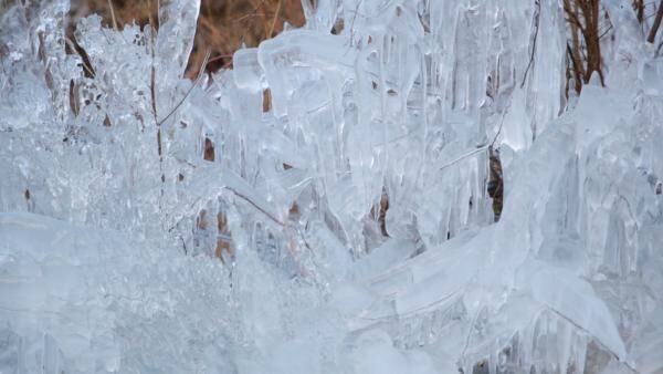 この冬1番のロマンティックな氷の芸術♡ 「あしがくぼの氷柱」