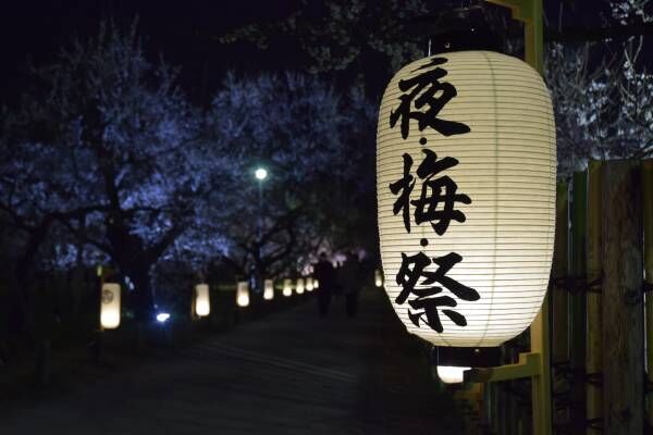日本三名園に春が来た♡「水戸の梅まつり」で絶景を堪能