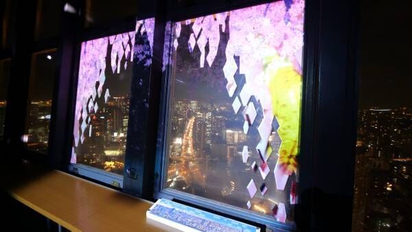 夜景に映し出される映像美。東京タワーで楽しむ夜桜体験