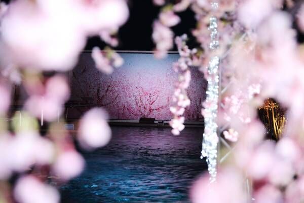 あったかナイトプールで100万ドルの夜景と夜桜を楽しむ！
