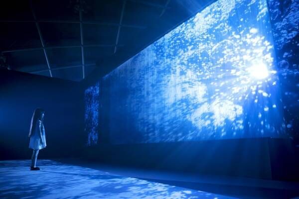 「光の深海」へようこそ。体験型デジタルアート展