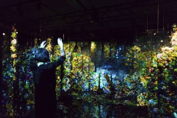 最新のテクノロジーによる参加型の演出による新しい「睡蓮」の世界が、箱根に登場！