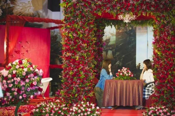 2000品種130万本！アジア最大級「バラ祭2019」ハウステンボスで開催