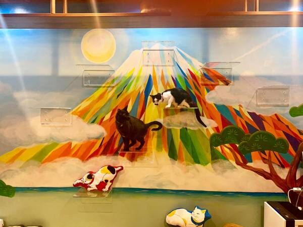 日本初！銭湯風保護猫カフェ「ねこ浴場」オープン