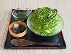 京都で並んでも絶対に食べたい！かき氷4選