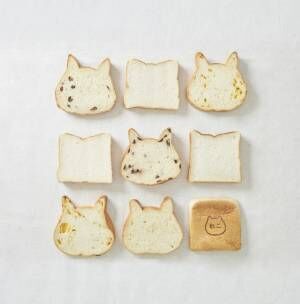 質を追求したネコ型の高級食パン「ねこねこ食パン」がオープン！