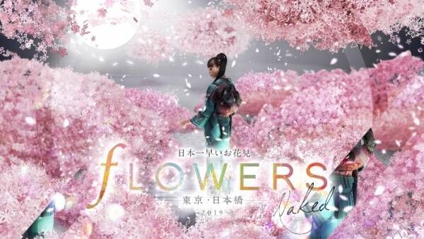 360度桜に包まれる！「FLOWERS BY NAKED 2019」体験レポ