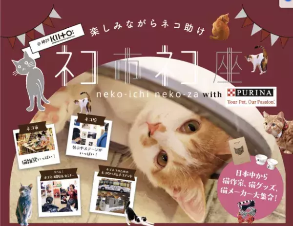 【2019年版】2月22日は猫の日！猫好き必見の猫イベント特集