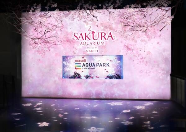 海と桜の幻想的なコラボ！品川「SAKURA AQUARIUM」