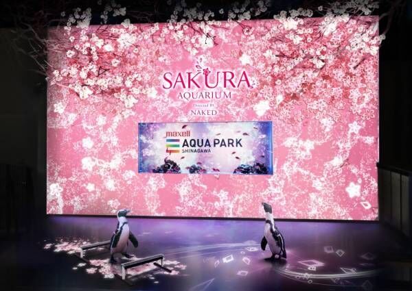 海と桜の幻想的なコラボ！品川「SAKURA AQUARIUM」