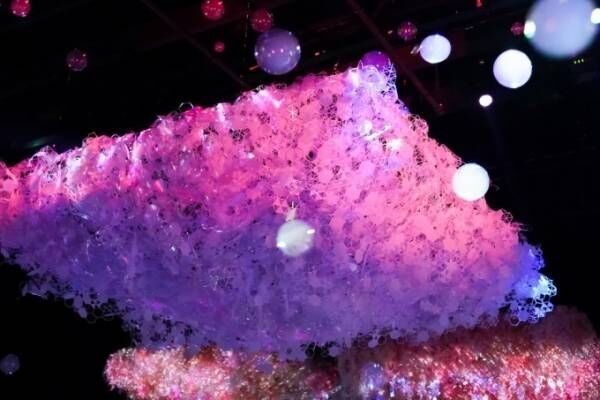 デジタルアートのお花見！日本橋で「フラワーズバイネイキッド2020‐桜‐」を開催