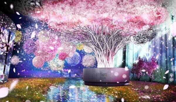 デジタルアートのお花見！日本橋で「フラワーズバイネイキッド2020‐桜‐」を開催