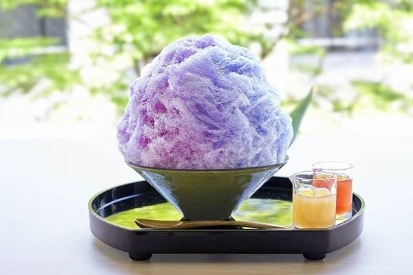 「紫陽花」をモチーフにした季節限定かき氷が鎌倉・こまち茶屋で登場！