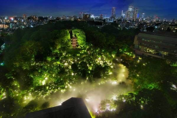 ホテル椿山荘東京“触れる雲海”や約1万本の椿が庭園に、幻想的なライトアップを開催！