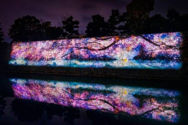花の体感型アート展「ネイキッド フラワーズ」京都・二条城にて夜桜×アートのプロジェクションマッピング開催！