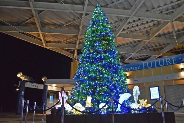 神奈川・新江ノ島水族館で冬イベント「えのすいクリスマス」開催！
