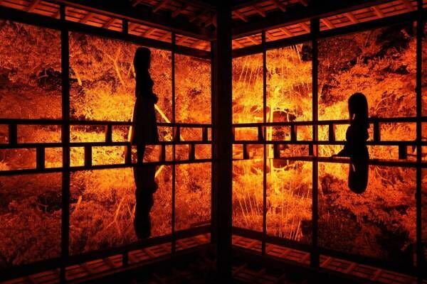 石川・和倉温泉の「御便殿」青林寺ライトアップ＆贅沢ティータイム」イベント開催！