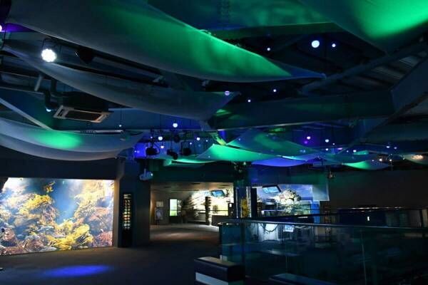 新江ノ島水族館“紫陽花×海の生き物たち”のコラボイベント開催！