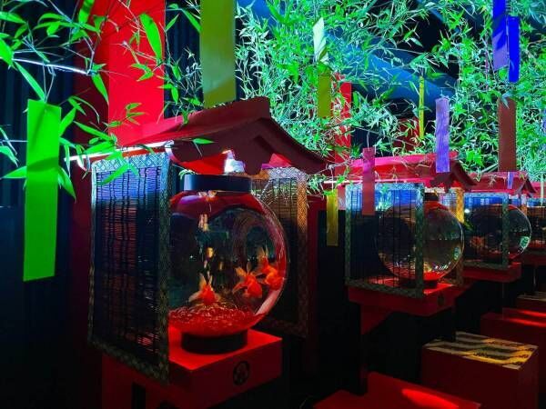 金魚アートの「アートアクアリウム美術館 GINZA」で七夕イベント期間限定で開催！