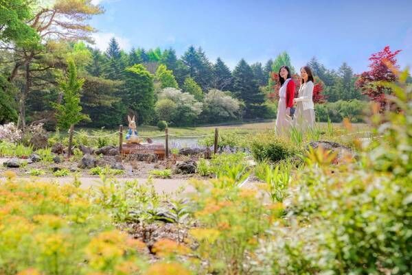富士河口湖で夏の花イベント「虹の花まつり」初開催！