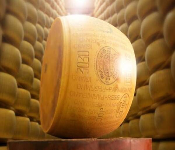 世界各国のチーズを集めたグルメイベント「チーズコレクション in 銀座三越 2022」開催！
