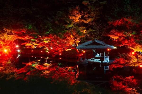 東京・白金台「八芳園」約100本のもみじが”真っ赤に染まる”紅葉ライトアップ開催！