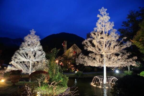 箱根ガラスの森美術館の庭園にクリスタルガラスのクリスマスツリーが登場！