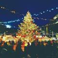ドイツグルメ＆雑貨を楽しむ「名古屋クリスマスマーケット2022」開催！