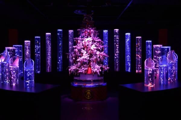 「アートアクアリウム美術館 GINZA」のクリスマスイベント開催！