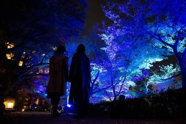 東京・白金台「八芳園」”青一色”に染まるライトアップイベント開催！