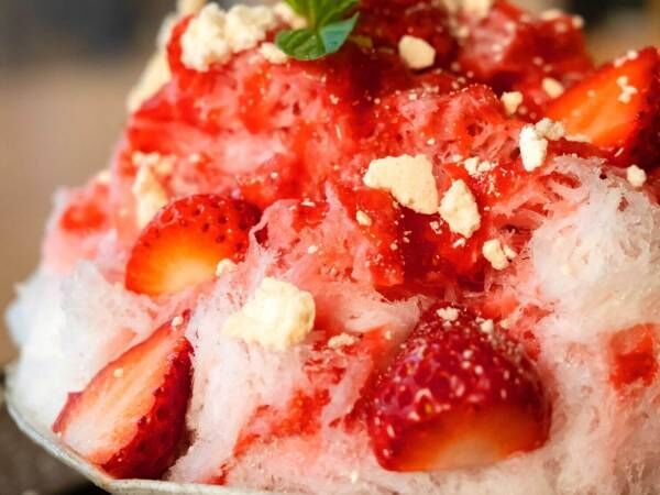“ふわふわ口どけ”天然かき氷「中町氷菓店」代官山にオープン！