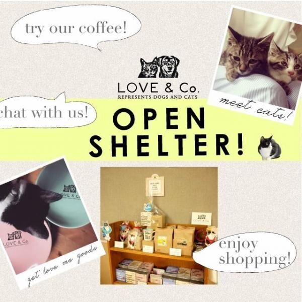 ~コーヒーで犬猫を助けよう~オシャレ支援のための新商品が登場！