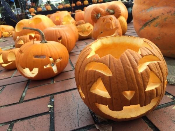 街に魔法がかかる2日間〜実は東京ハロウィンイベントの老舗！ハロウィンin多摩センターで“Trick or Treat”