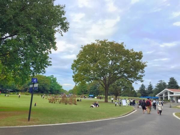 “シンゴジラのベンチ”を探しだだっ広い昭和記念公園をひたすらさまよった結果写真が125点にのぼり収拾がつかなくなった件。