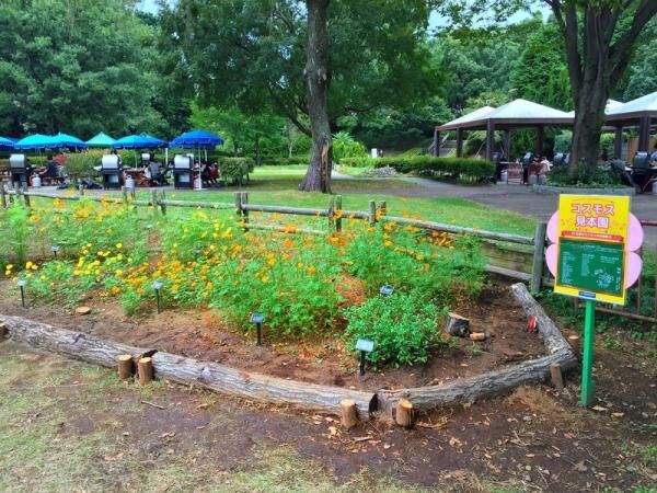 “シンゴジラのベンチ”を探しだだっ広い昭和記念公園をひたすらさまよった結果写真が125点にのぼり収拾がつかなくなった件。