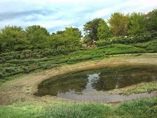 “シンゴジラのベンチ”を探しだだっ広い昭和記念公園をひたすらさまよった結果写真が125点にのぼり収拾がつかなくなった件。