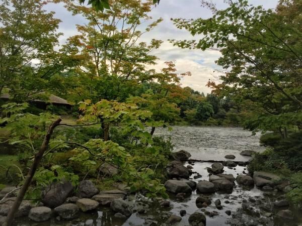 “シンゴジラのベンチ”を探しだだっ広い昭和記念公園をひたすらさまよった結果写真が125点にのぼり収拾がつかなくなった件。