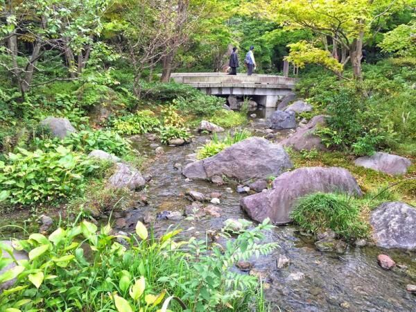 “シンゴジラのベンチ”を探しだだっ広い昭和記念公園をひたすらさまよった結果写真が125点にのぼり収拾がつかなくなった件。