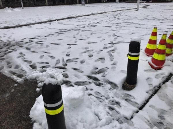 東名高速道路（足柄サービスエリア）の雪がやばい！走行できずチェーン装着してる人も。