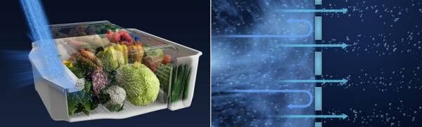 東芝が野菜・肉・魚の鮮度保持性能が向上した新型冷凍冷蔵庫「ベジータ」シリーズ新製品を発売